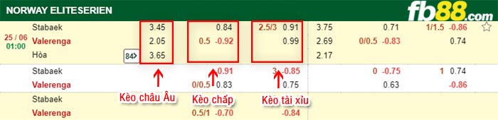 fb88-bảng kèo trận đấu Stabaek vs Valerenga
