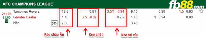 fb88-bảng kèo trận đấu Tampines Rovers vs Gamba Osaka