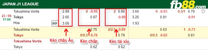 fb88-bảng kèo trận đấu Tokushima Vortis vs FC Tokyo