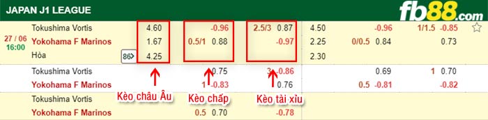 fb88-bảng kèo trận đấu Tokushima Vortis vs Yokohama F Marinos