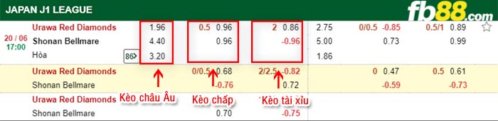 fb88-bảng kèo trận đấu Urawa vs Shonan Bellmare