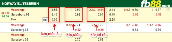 fb88-bảng kèo trận đấu Valerenga vs Sarpsborg