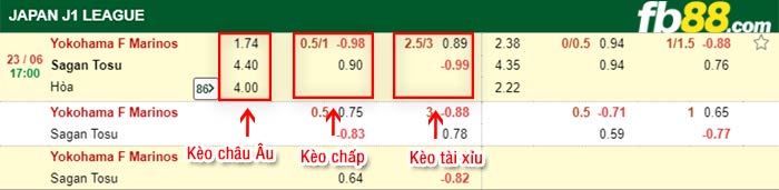 fb88-bảng kèo trận đấu Yokohama F Marinos vs Sagan Tosu