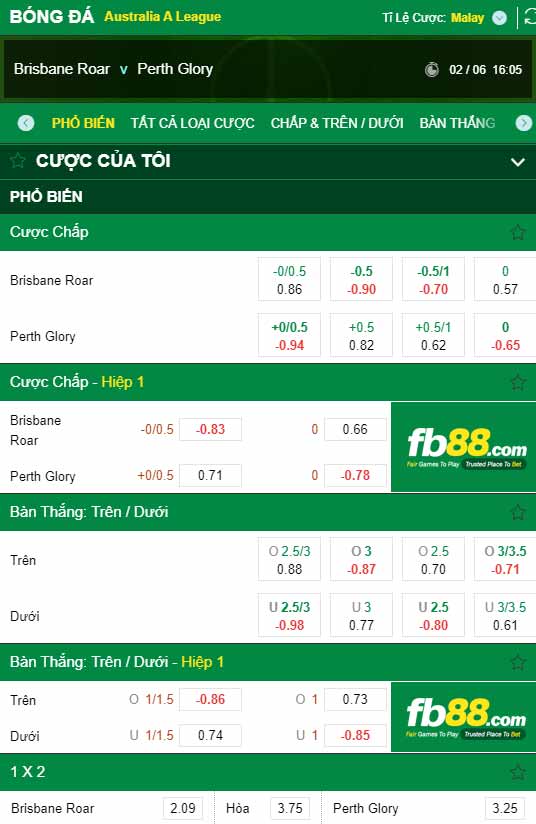 fb88-chi tiết kèo trận đấu Brisbane Roar vs Perth Glory