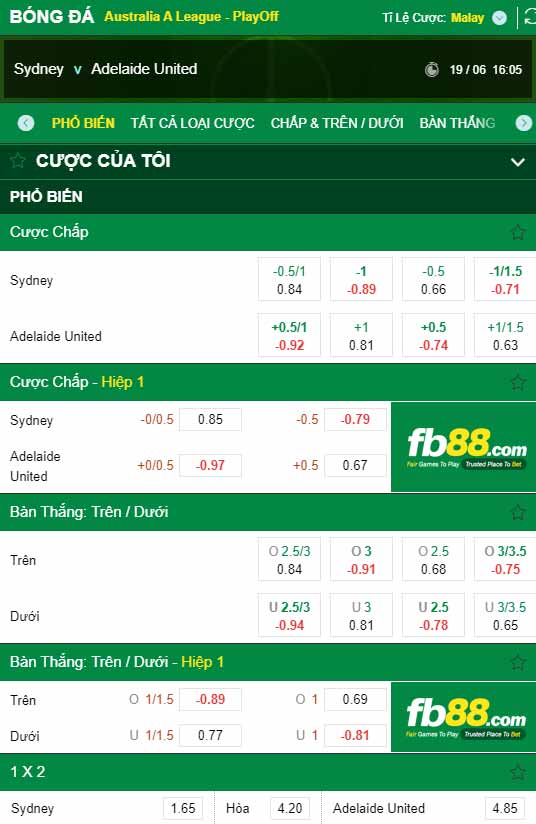 fb88-chi tiết kèo trận đấu Sydney FC vs Adelaide
