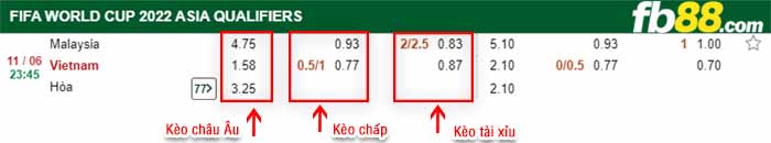 fb88-tỷ lệ kèo chấp Viet Nam vs Malaysia