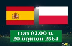 spain vs poland