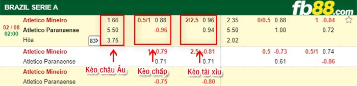 fb88-bảng kèo trận đấu Atletico Mineiro vs Atletico Paranaense