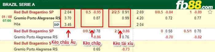 fb88-bảng kèo trận đấu Bragantino vs Gremio