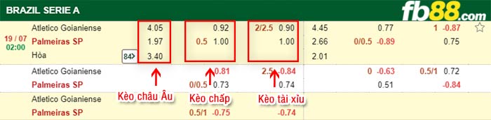 fb88-bảng kèo trận đấu Goianiense vs Palmeiras