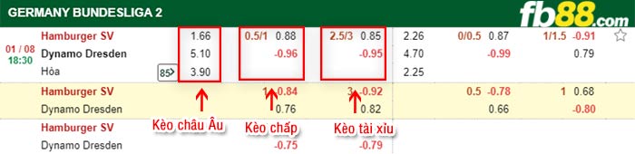 fb88-bảng kèo trận đấu Hamburger vs Dynamo Dresden