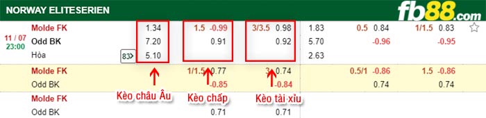 fb88-bảng kèo trận đấu Molde vs Odd Grenland