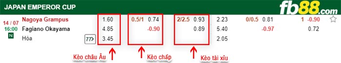 fb88-bảng kèo trận đấu Nagoya Grampus vs Fagiano Okayama