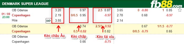 fb88-bảng kèo trận đấu Odense vs Kobenhavn