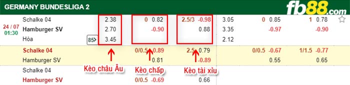 fb88-bảng kèo trận đấu Schalke vs Hamburger