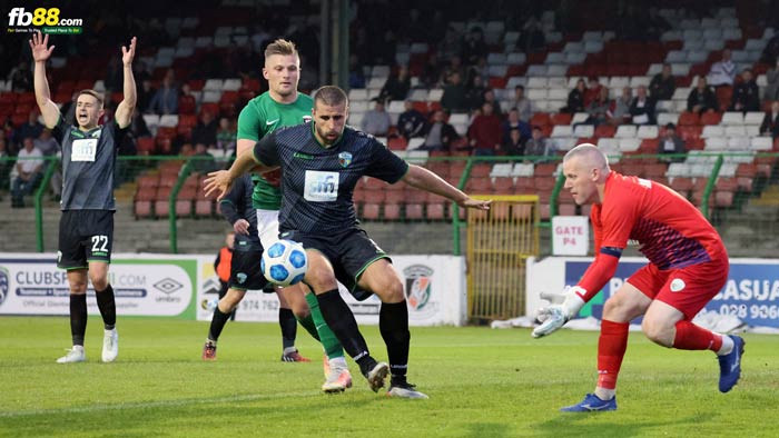fb88-bảng kèo trận đấu The New Saints vs Glentoran