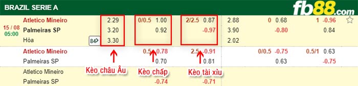 fb88-bảng kèo trận đấu Atletico Mineiro vs Palmeiras