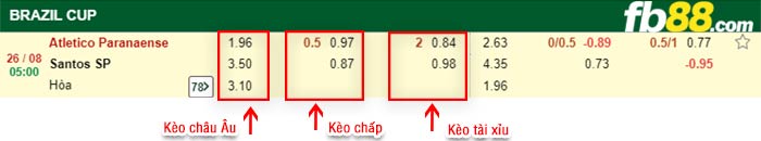 fb88-bảng kèo trận đấu Atletico Paranaense vs Santos