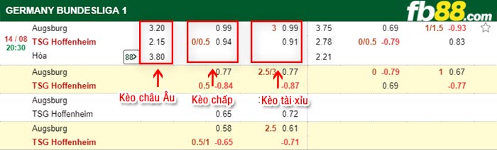 fb88-bảng kèo trận đấu Augsburg vs Hoffenheim