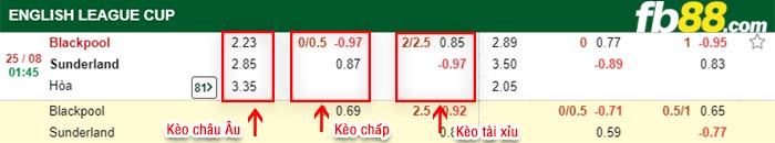 fb88-bảng kèo trận đấu Blackpool vs Sunderland