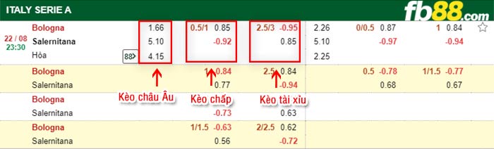 fb88-bảng kèo trận đấu Bologna vs Salernitana