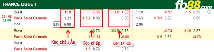 fb88-bảng kèo trận đấu Brest vs PSG