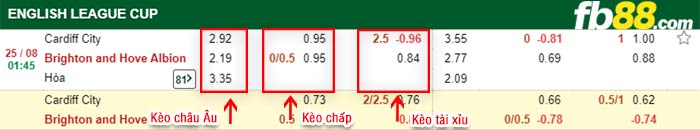 fb88-bảng kèo trận đấu Cardiff vs Brighton