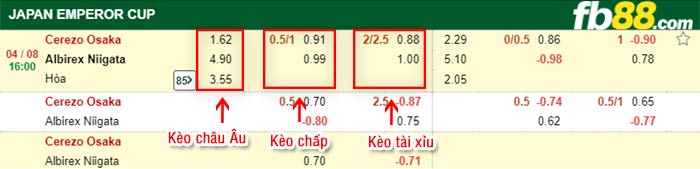 fb88-bảng kèo trận đấu Cerezo Osaka vs Albirex Niigata