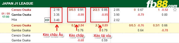fb88-bảng kèo trận đấu Cerezo Osaka vs Gamba Osaka