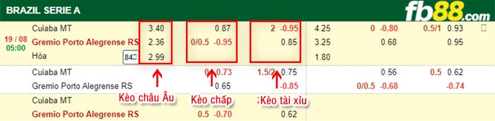 fb88-bảng kèo trận đấu Cuiaba vs Gremio