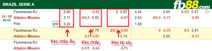 fb88-bảng kèo trận đấu Fluminense vs Atletico Mineiro