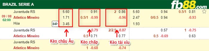 fb88-bảng kèo trận đấu Juventude vs Atletico Mineiro