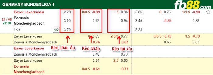 fb88-bảng kèo trận đấu Leverkusen vs Monchengladbach