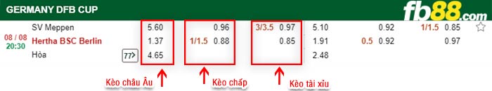 fb88-bảng kèo trận đấu Meppen vs Hertha Berlin
