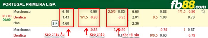 fb88-bảng kèo trận đấu Moreirense vs Benfica