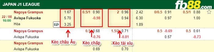 fb88-bảng kèo trận đấu Nagoya Grampus vs Avispa Fukuoka