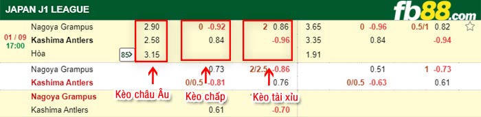 fb88-bảng kèo trận đấu Nagoya Grampus vs Kashima Antlers