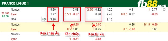 fb88-bảng kèo trận đấu Nantes vs Lyonnais