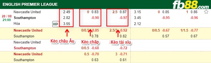 fb88-bảng kèo trận đấu Newcastle vs Southampton