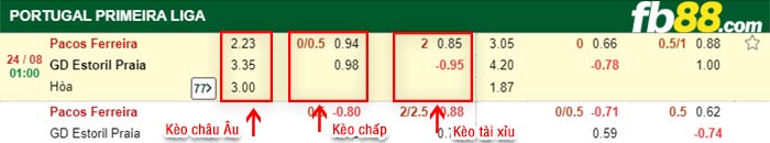 fb88-bảng kèo trận đấu Pacos Ferreira vs Estoril