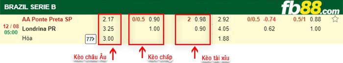 fb88-bảng kèo trận đấu Ponte Preta vs Londrina