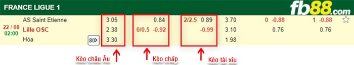 fb88-bảng kèo trận đấu Saint-Etienne vs Lille