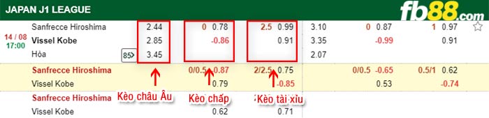 fb88-bảng kèo trận đấu Sanfrecce Hiroshima vs Vissel Kobe