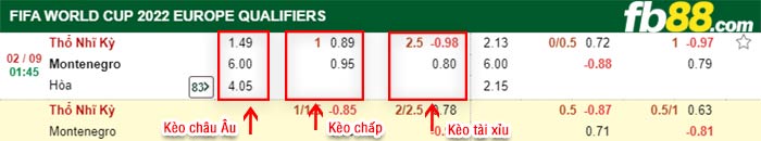 fb88-bảng kèo trận đấu Tho Nhi Ky vs Montenegro