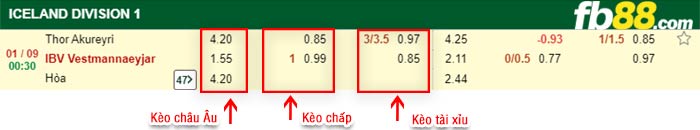 fb88-bảng kèo trận đấu Thor Akureyri vs Vestmannaeyjar