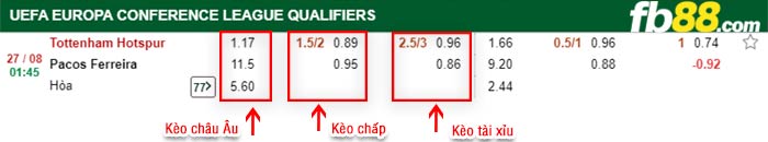 fb88-bảng kèo trận đấu Tottenham vs Pacos Ferreira