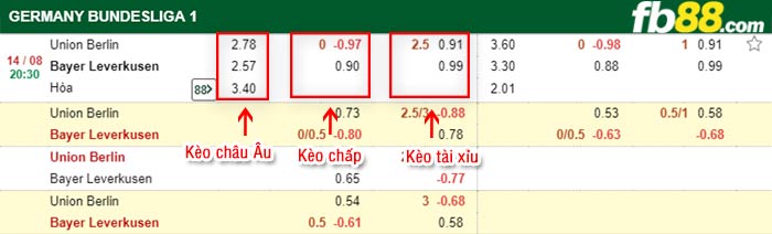 fb88-bảng kèo trận đấu Union Berlin vs Leverkusen