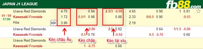 fb88-bảng kèo trận đấu Urawa Red vs Kawasaki Frontale