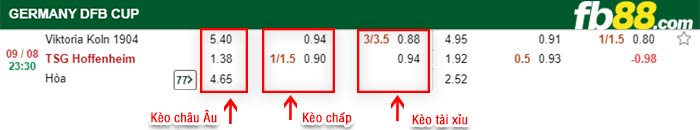 fb88-bảng kèo trận đấu Viktoria Koln vs Hoffenheim