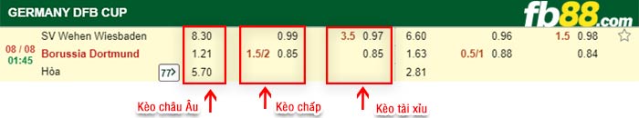 fb88-bảng kèo trận đấu Wehen Wiesbaden vs Dortmund